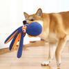 Popular Pet Dog Plush Toy Bite-resistant Sound Plush Octopus Toy Dog Bite Interactive Toy