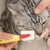 Pet Tear Stain Brush for Travel and Household Use Colorful Tweezers