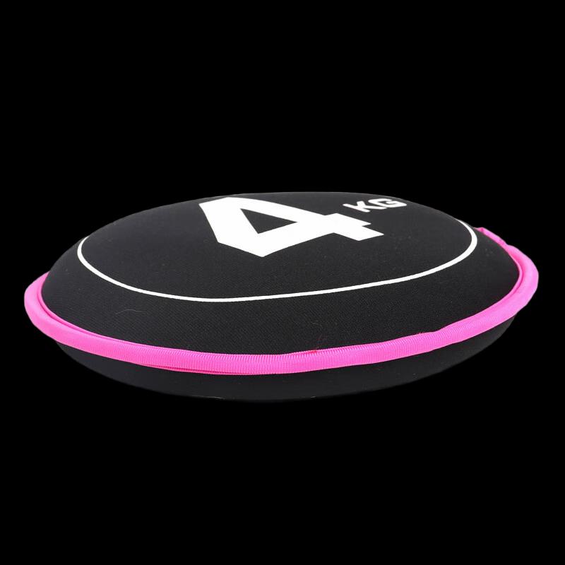 Healthsoo Weighted Sand Disc