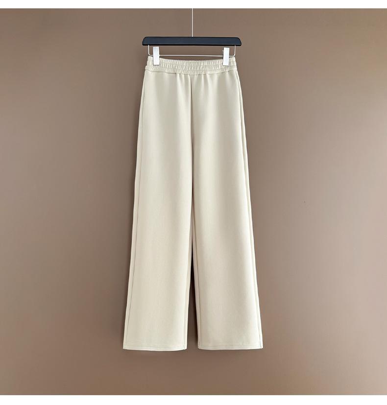 Women's Trendy Korean Style Casual Sports Suit: Plush Stand Collar Jacket & Wide-Leg Pants Two-Piece Set for Spring/Autumn 2026.
