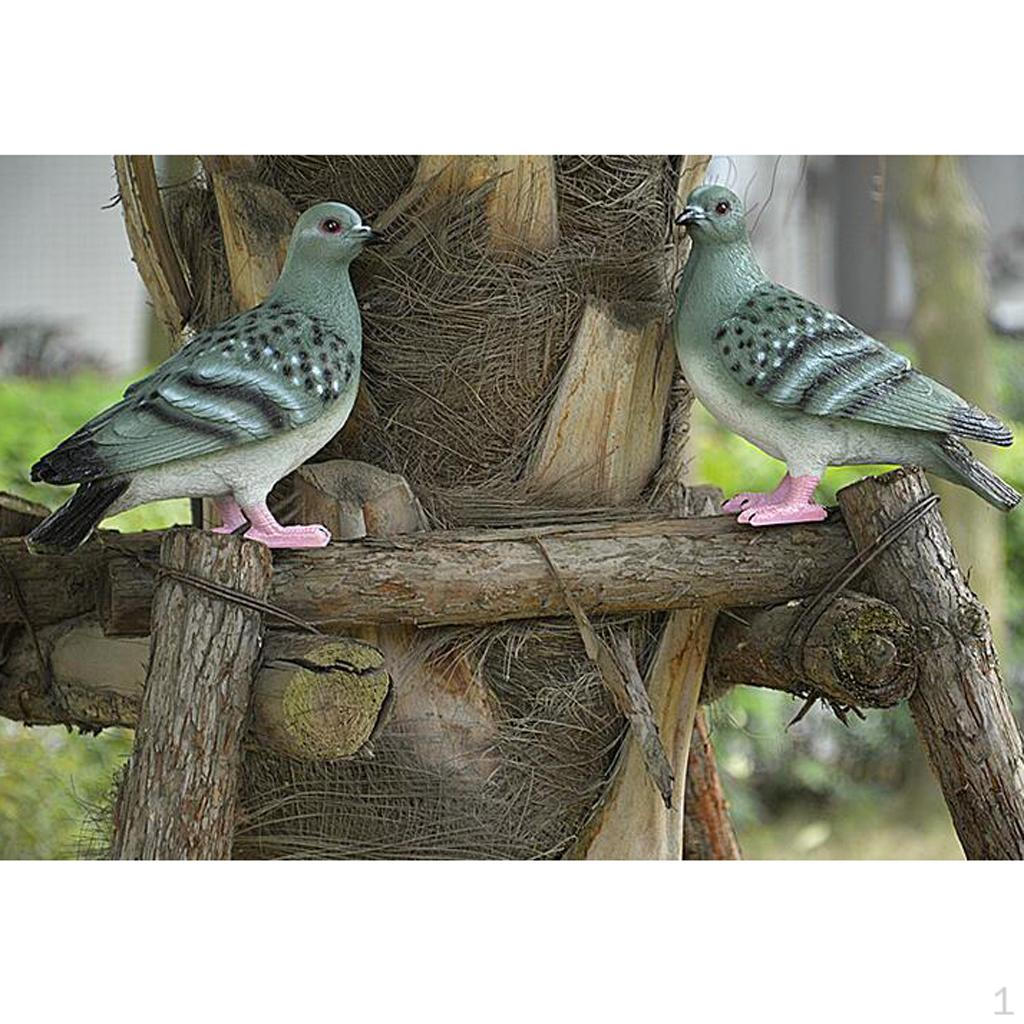

and Ornament Pigeon Bird Statue Blue Gray