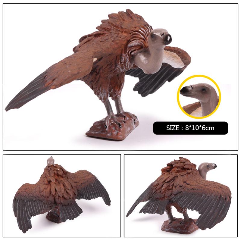Oenux Wild Bird Animals Forest Night Eagle Condor Figurines PVC Action Figure Garden Decoration Education Miniature Toy Kid Gift