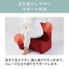 Style Dr. CHAIR MTG Pelvic Support (Brown, Doctor's Chair)