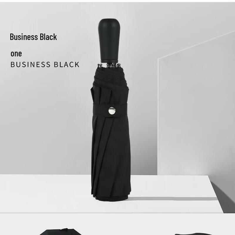 BRS Cahill LK-919 Ten-Rib Folding Umbrella