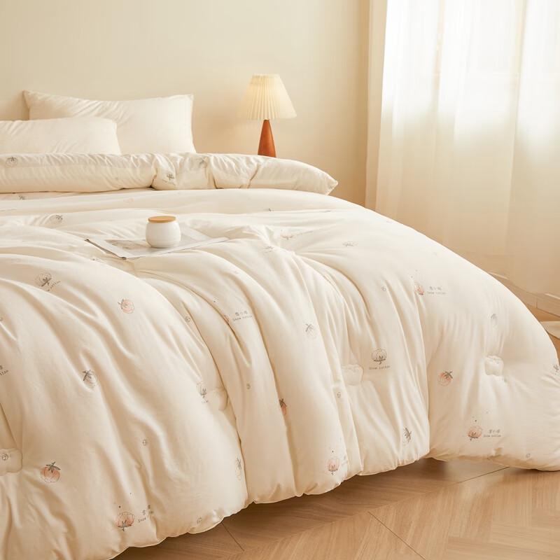 Qixiai Soft Warm All-Season Quilt