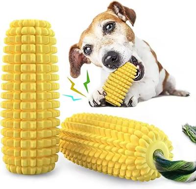 Köpek – Köpek oyuncakları