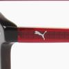 Puma Galleria Puma Fassung Pe0105oa 002 Rund Acetat Herren Damen Brille