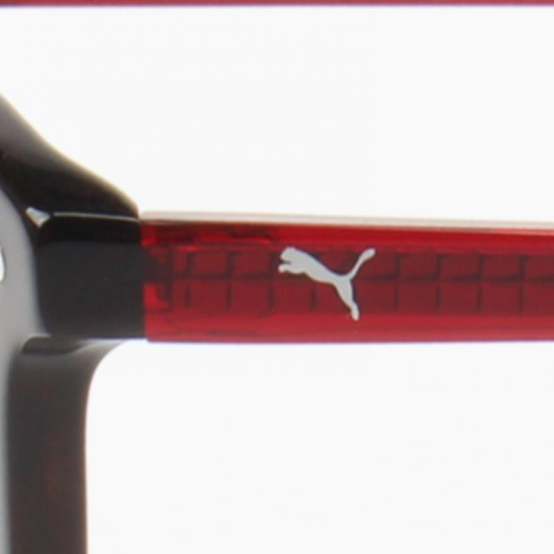 Puma Galleria Puma Fassung Pe0105oa 002 Rund Acetat Herren Damen Brille