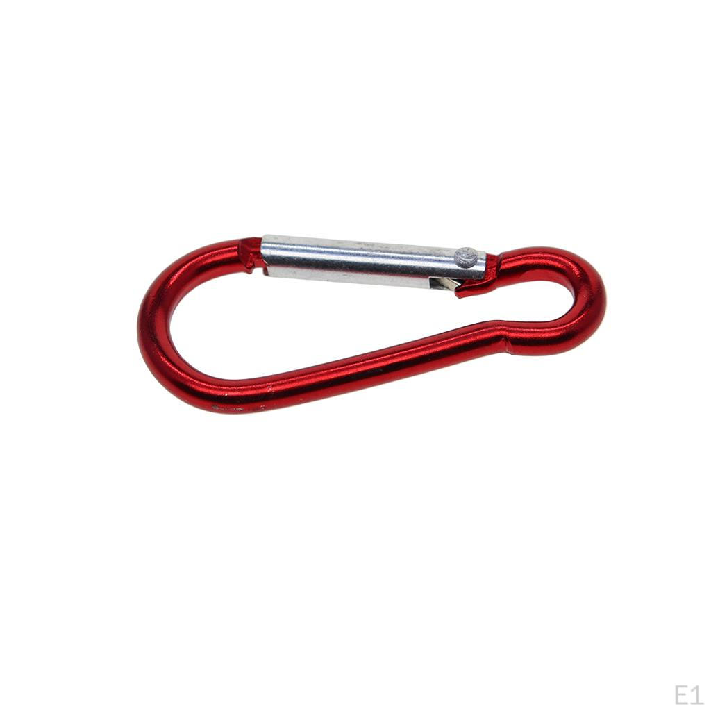 10 . Carabiner Keychain with Screw Aluminum Alloy Hook Locking