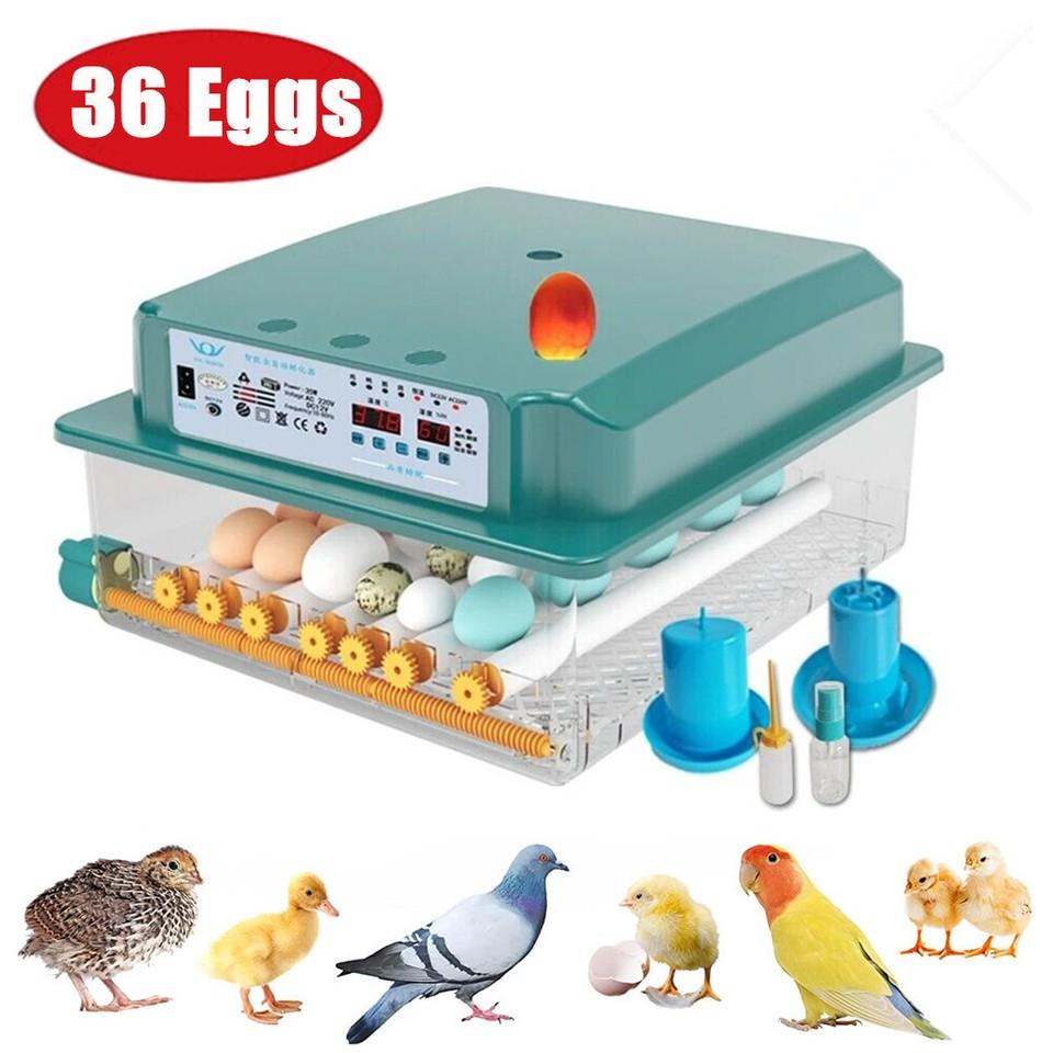 16/36 Egg Incubator Automatic Integrated Egg Candler, Temperature Control Egg Hatcher for Hatching Chicken Duck Quail Eggs