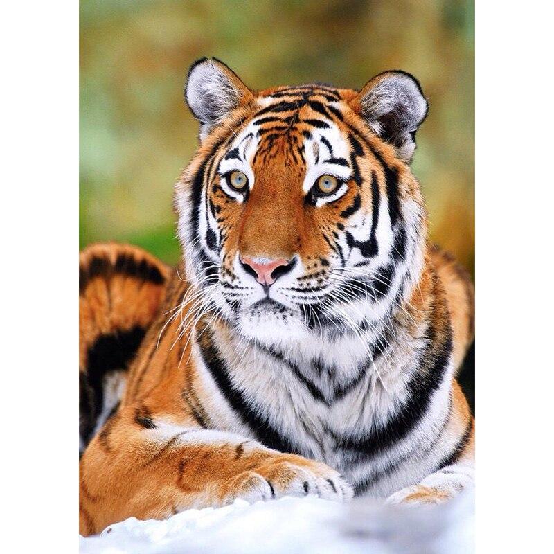 New 5D DIY Diamond Painting Tiger Diamond Embroidery Animal Scenery Cross Stitch Full Round Drill Home Decor Manual Gift