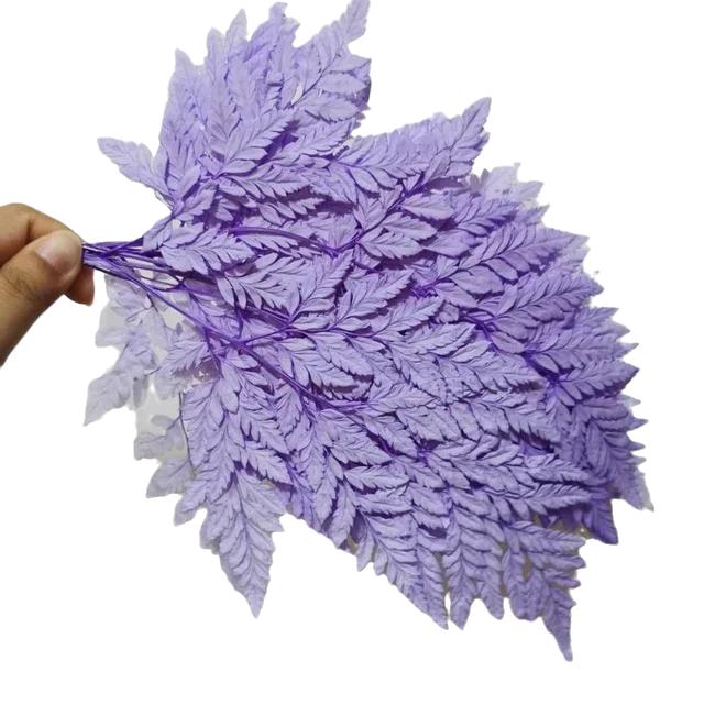 Preserved Fern Leaf for Home Decoration,Eternal Life,Natural Real Fern Plant,Handmade Flowers Material,Wedding,Home, 5Pcs,10Pcs