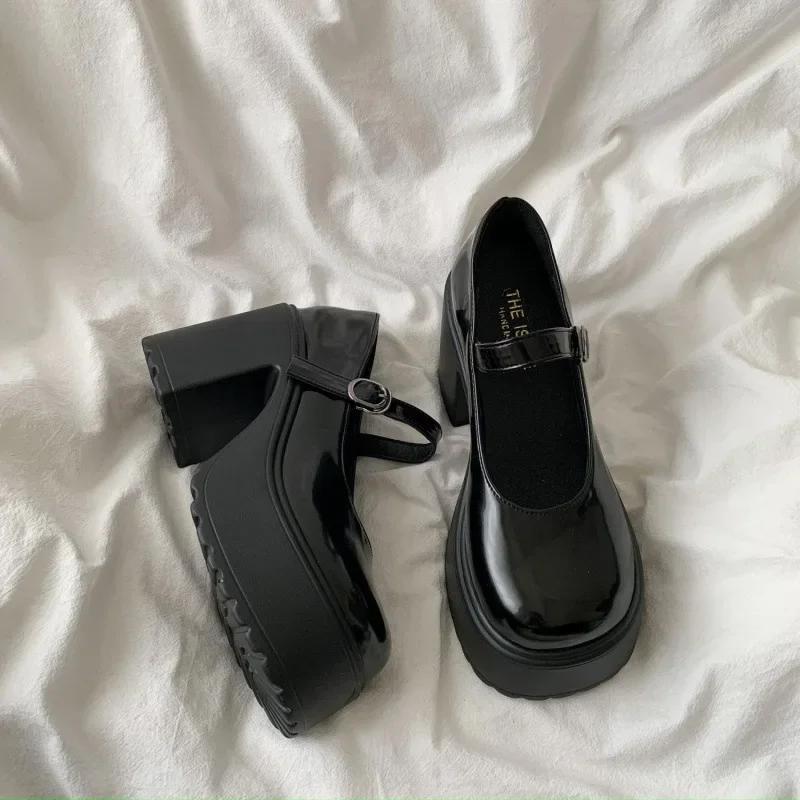 Fashion 2025 New Spring Summer Versatile Thick Bottom French Style Women's Shoes High Heels Small Leather Shoes Ladies Zapatos De Mujer