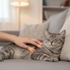 3pcs/set Bite Resistant Pet Finger Puppet Soft Cat Finger Fidget Creative Cat Teasing Toy  Cat Props