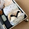Leopard Print Underwear Organizer Bag Cartoon Puppy Dog Multi-function Bra Storage Bag Close-fitting Large Capacity
