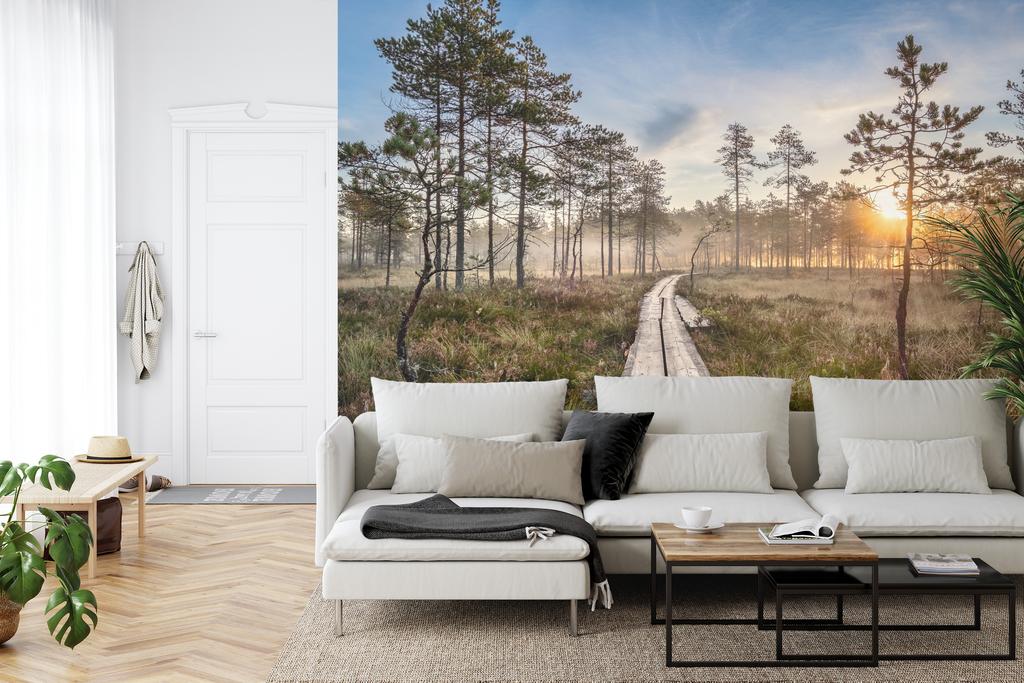 Photomural Wooden Path In The Forest Washable Fleece 416x254