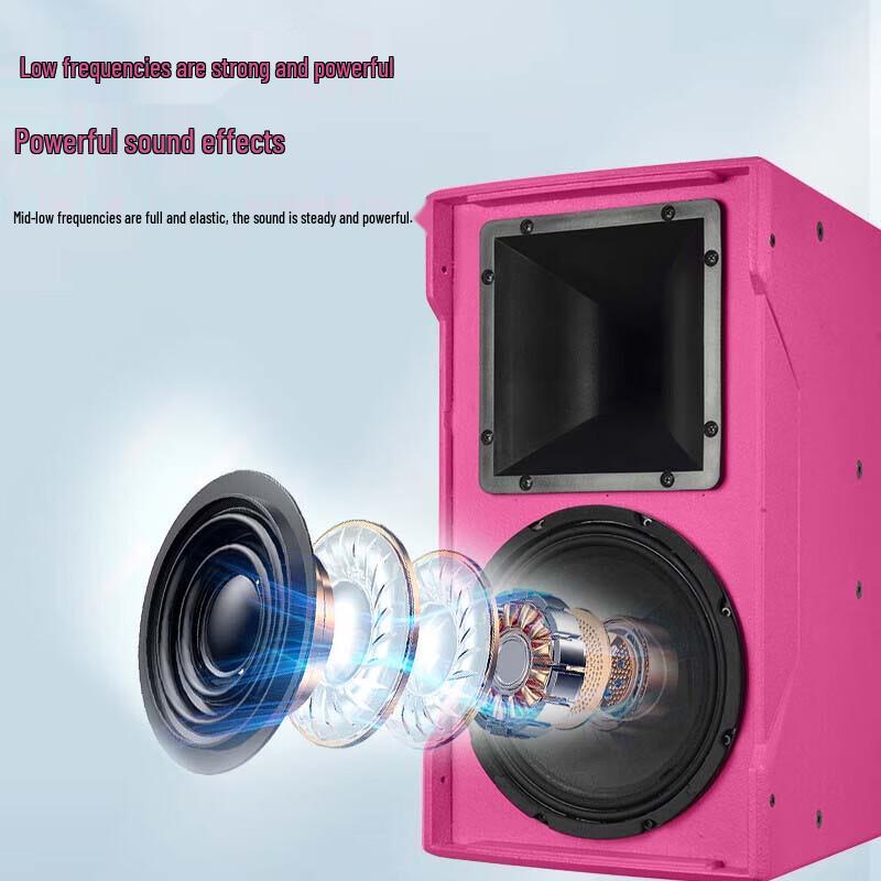 HuiDu NX-12 Professional Speaker