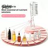 Essential Oil Hair Comb Scalp Applicator Comb, Round Massage Ball Teeth Design, 10ml Capacity, for Growth Clear Leakproof Portable Liquid Dispenser