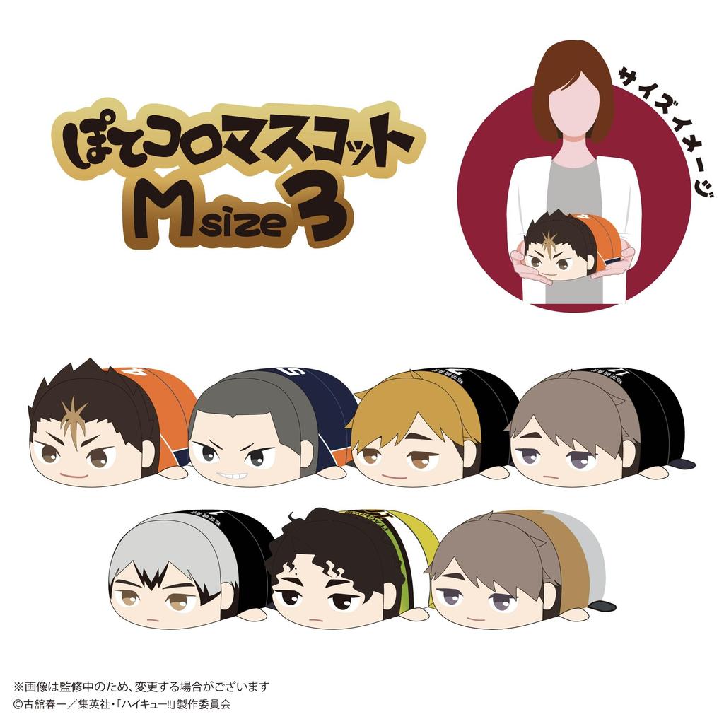 Potekoro Mascot M size 3 Osamu Miya Haikyu!! D