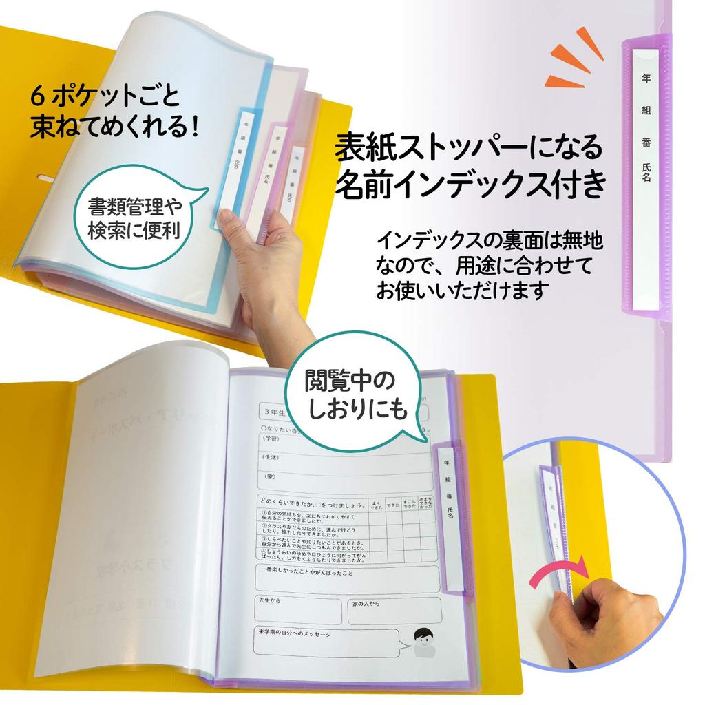 Plus Name Refillable Clear 6 x 10 books Grade, Class, File, Vertical, Pockets, A4, Purple, 84-822