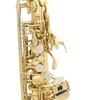 Brass Eb Alto Saxophone Sax Lacquered Gold Woodwind Instrument with Carry Case Gloves Cleaning Cloth Brush Sax Strap