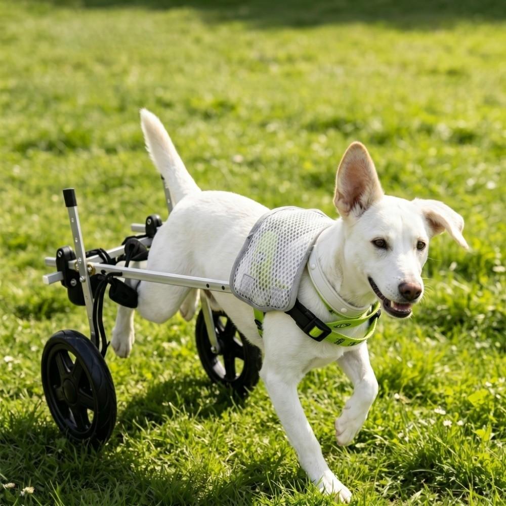 Comfort Harness Dog Wheelchair Adjustable Disabled Pet Walking Aid  Walking Assistance