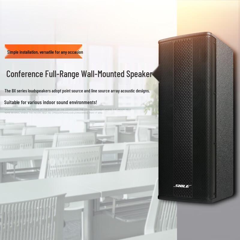 SHILE BX-404 4.5-inch Passive Conference Speaker Pair