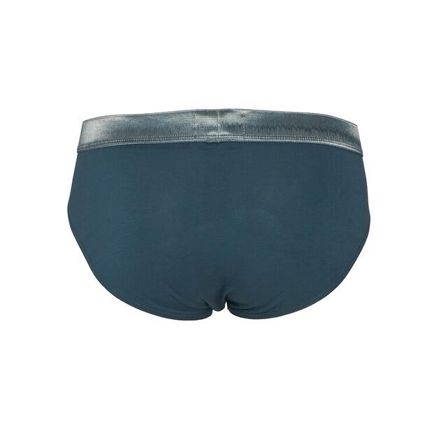 Трусы-слипы Emporio Armani Underwear EM000258 AF18886 MB396