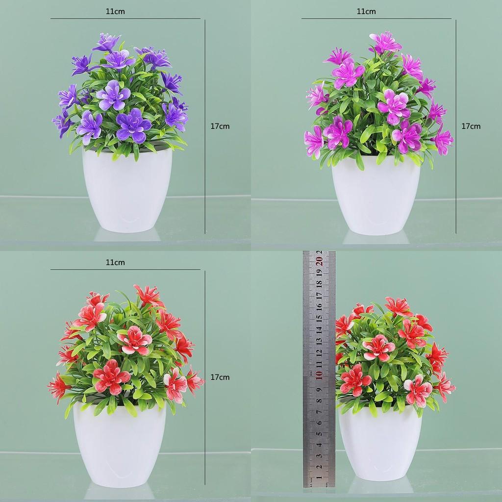 Plastic Causonis Japonica Plant For Indoor Decoration Perfect For Living Room And Office