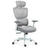 Office Chairs Fortia Ergonomic Office Desk Chair Coolmesh Fabric Adjustable Lumbar Support Headrest Armrest And Recline White Mesh/Grey Frame