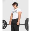Men's Quick-drying Fitness Polyester Top T-shirt Shark Clothing Comfortable Breathable Sports Fitness Wear T-Shirts Men’s