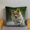 Cute Welsh Corgi Pembroke Dog Cushion Cover Pillow Case Home Decor Animal   Sofa Car