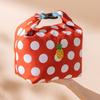 Large Capacity Lunch Box Bag Foldable Food Thermal Handbag Insulated Tote Bag  Outdoor