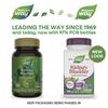 Kidney Bladder, 100 Vegan Capsules
