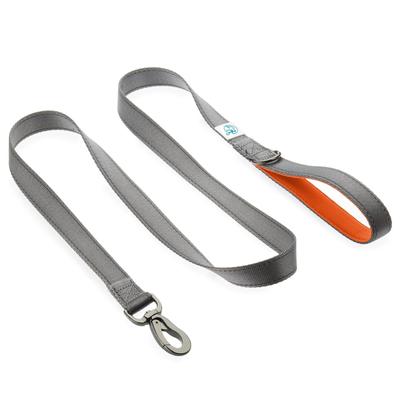 Embark Pets Abenteuerleine für Hunde, Orange, 150cm (Länge) x 2,5 cm (Breite)