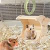 Wooden Chinchilla House Moon Shaped Chinchilla Habitat Hamster Habitat Rabbit Hut For Small Animals Hamsters Chinchillas Bunnies