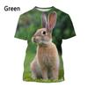 Cute Beautiful Rabbit 3D Printed T-shirt for Girls, Summer Casual Stylish Short Sleeve Round Neck Top