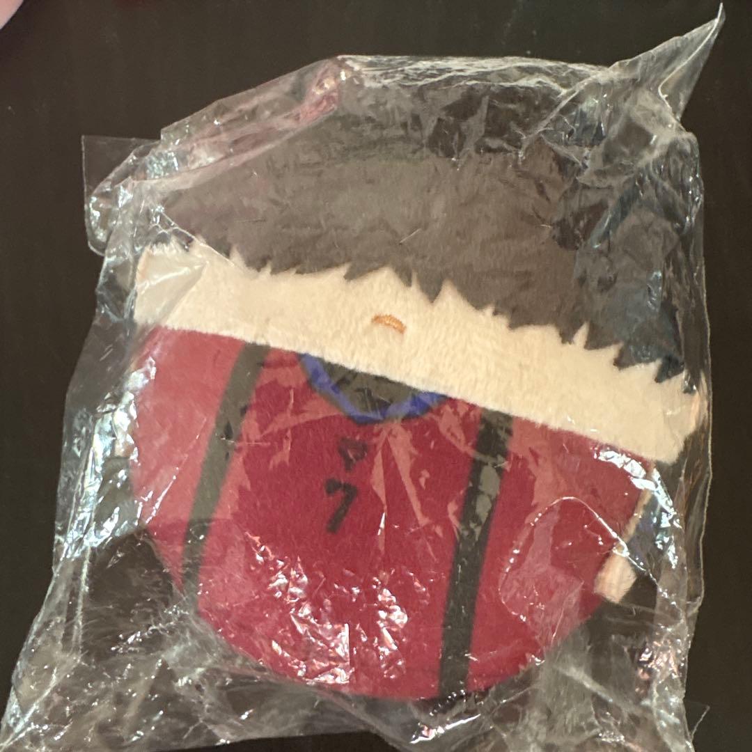 Blue Lock Futago Ikki Fuwakoro Rin Mascot Plush Toy