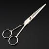 6.0" Stainless Steel Hairdressing Shears