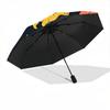 1pc Dino World Automatic Open/Close Umbrella, Windproof, Folding Compact Umbrella with Lightweight Design for Women/Men123