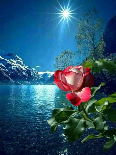 5D DIY Diament Malarstwo Nowy Kwiat Róży Dżetów Diament Haft Sprzedaż Krajobraz Nadmorski Mozaika Wystrój Domu