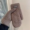 Velvet Thickened Warm Gloves Winter Men's Windproof and Cold-proof Woolen Knitted Double-layered Mittens for Students Outdoor Riding Trend