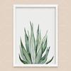 Bohemian Watercolor Tropical Plant Canvas Painting Monstera Banana Leaf Eucalyptus and Fern Art Posters Aesthetic Bedroom Decor