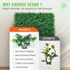 VEVOR Artificial Boxwood Panel UV 24pcs Boxwood Hedge Wall Panels Artificial Grass Backdrop Wall 20" X 20" 4 Cm Green Grass Wall Fake Hedge
