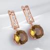 Brown Natural Zircon English Earrings For Women Unique Crystal Flower  Rose Gold Color High Quality Daily Jewelry