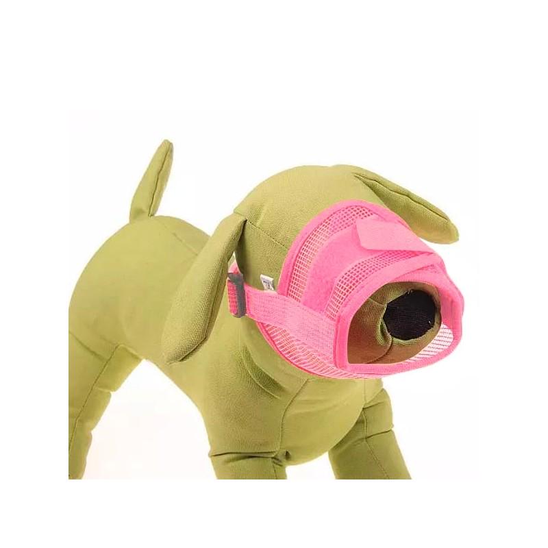 pink muzzle on dog