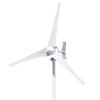 Lingfengda 300W 12V/24V Horizontal Axis Small Wind Turbine
