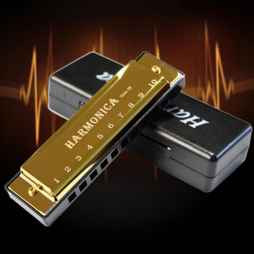 Pleasant Harmonica 10 Holes Harmonica Musical Instrument Children Early Education Mouth Organ Gift Harmonica Superior Quality and Creative Nice Design
