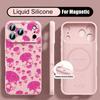 Colorful Skeleton Pattern Case For iPhone 17 Pro Max Magnetic For Magsafe Liquid Silicone Cover For iPhone 16 15 14 13 Pro Max