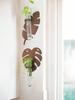 1/2 Pcs Brown Wooden Wall Planters Turtle Back Leaf Plant Pots Indoor Propagation Station Wall Decor Vase Stand Home Decorations